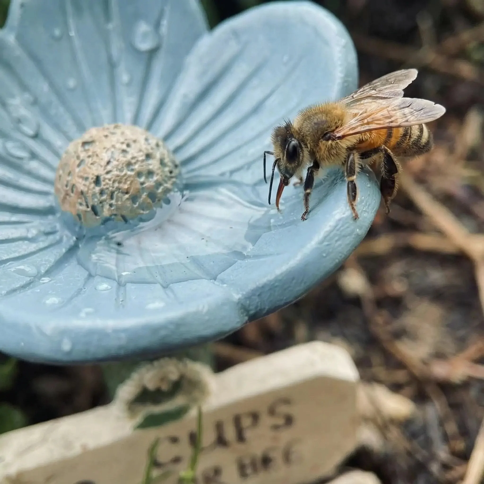 🐝Flower-Shaped Bee Watering Station💧 - Image 8