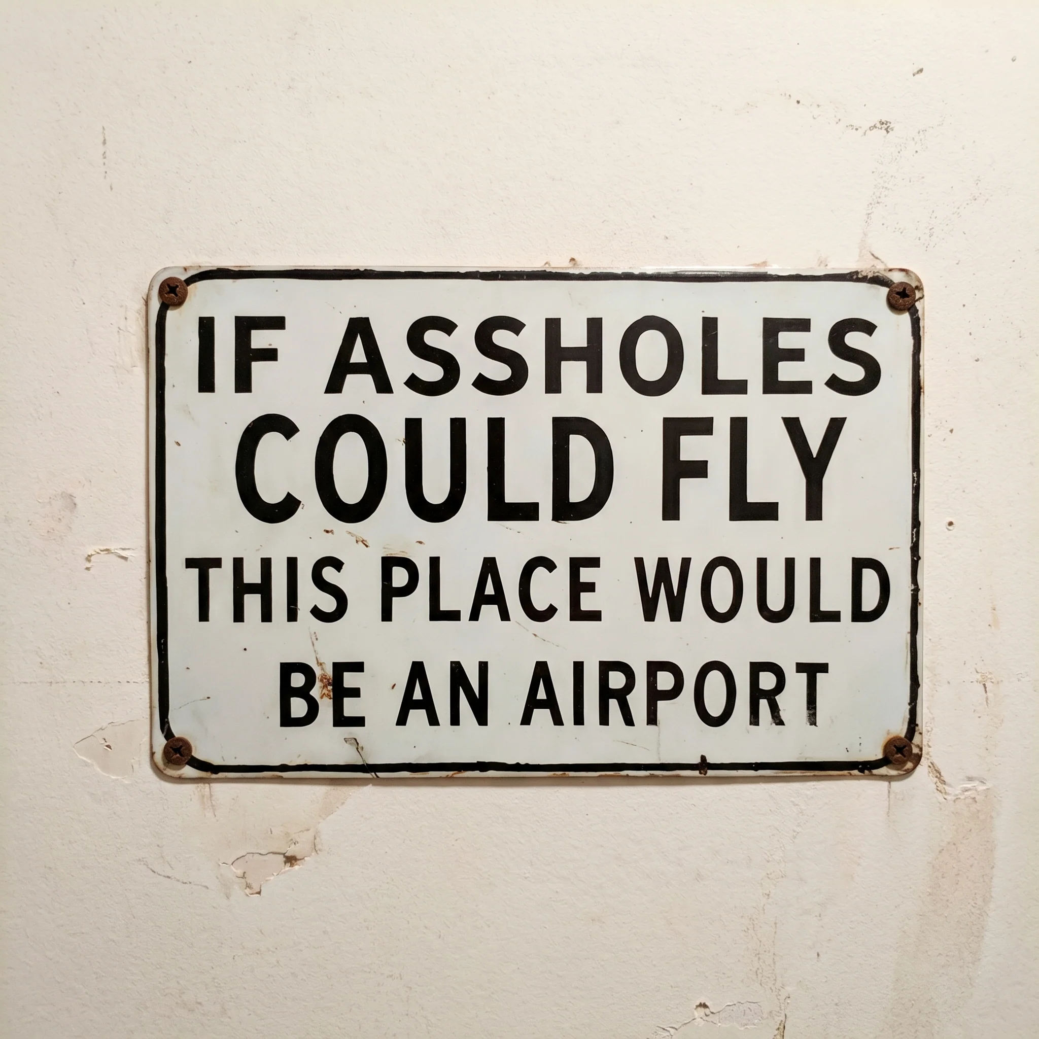 Funny "If Assholes Could Fly" Vintage Metal Sign – Hilarious Man Cave Wall Decor ✈️😂 - Image 3