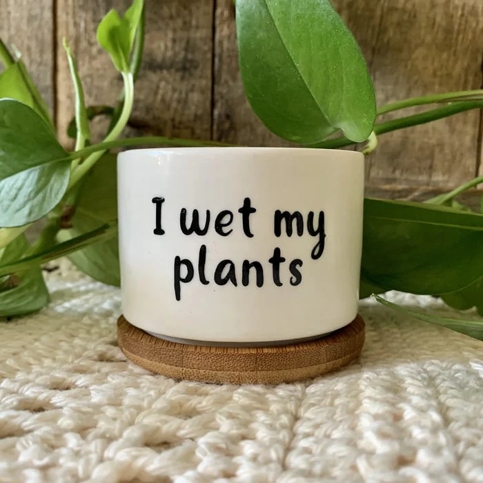 🎄Christmas Gift 50% Off--Funny unique succulent pots🌱 - Image 4