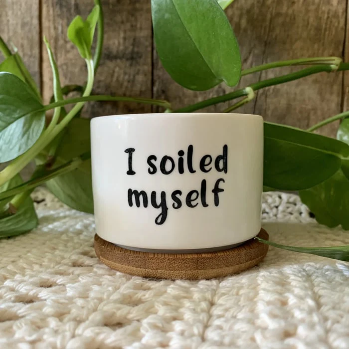 🎄Christmas Gift 50% Off--Funny unique succulent pots🌱 - Image 5