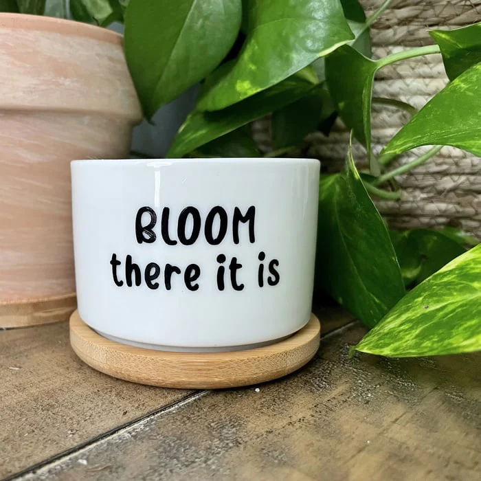 🎄Christmas Gift 50% Off--Funny unique succulent pots🌱 - Image 6