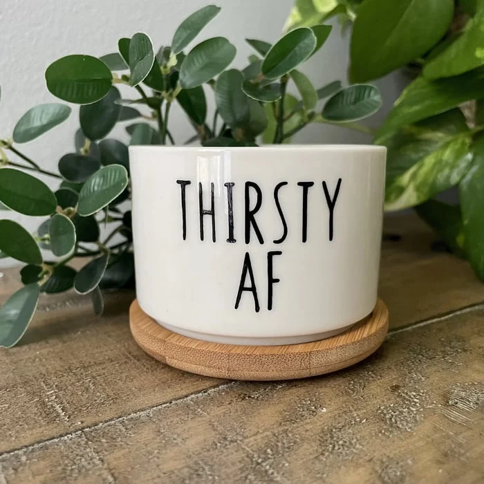 🎄Christmas Gift 50% Off--Funny unique succulent pots🌱 - Image 7