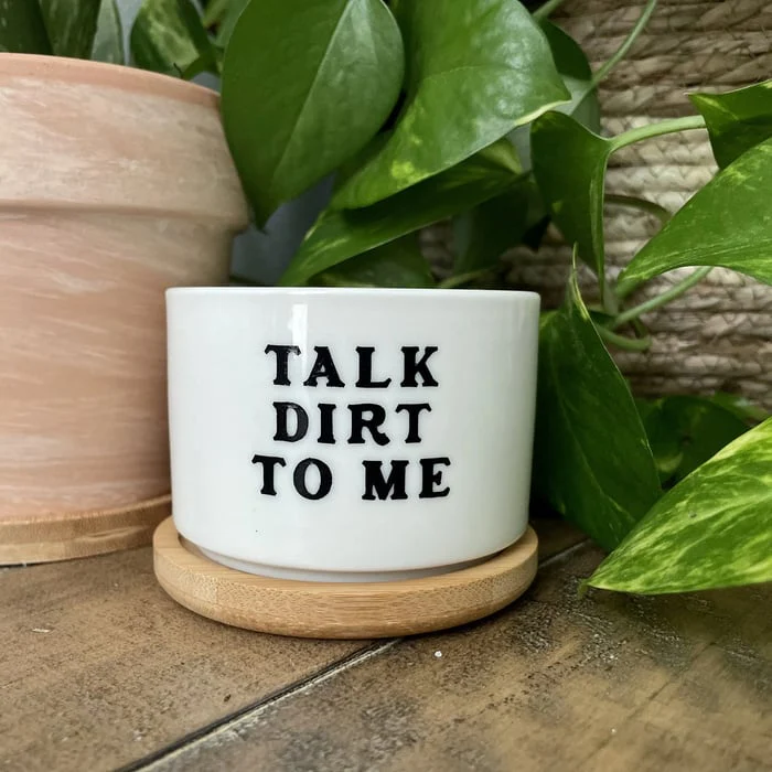 🎄Christmas Gift 50% Off--Funny unique succulent pots🌱 - Image 8