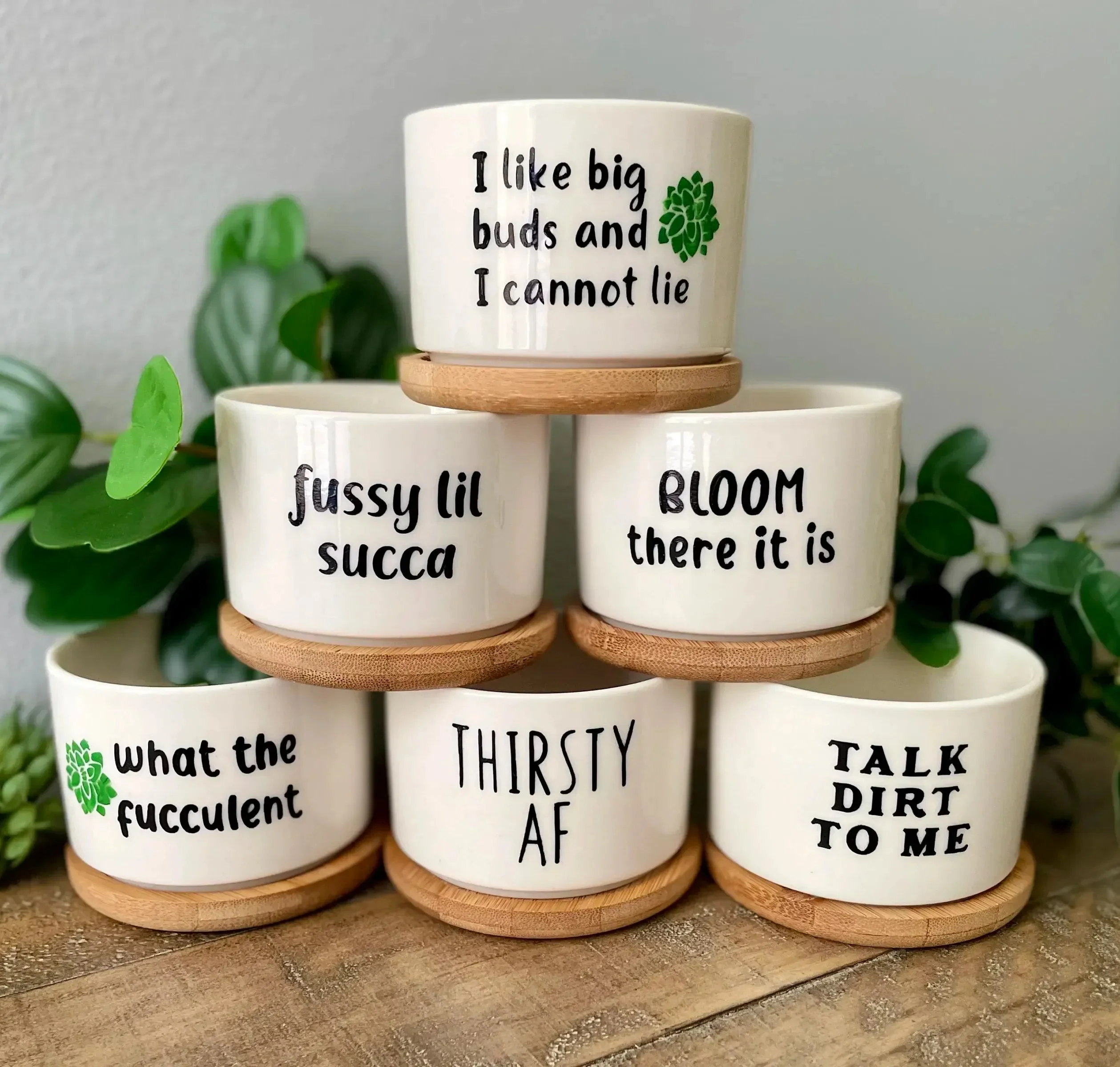 🎄Christmas Gift 50% Off--Funny unique succulent pots🌱 - Image 9